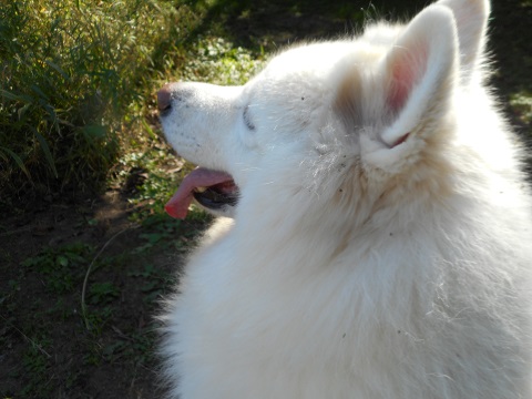 DSCN0573.JPG