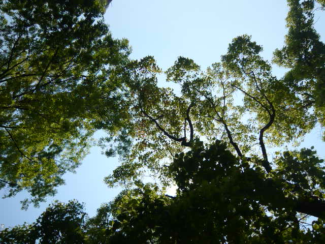 空