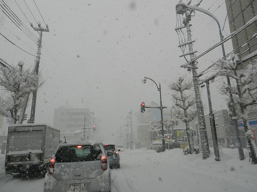 DSCN5692.jpg