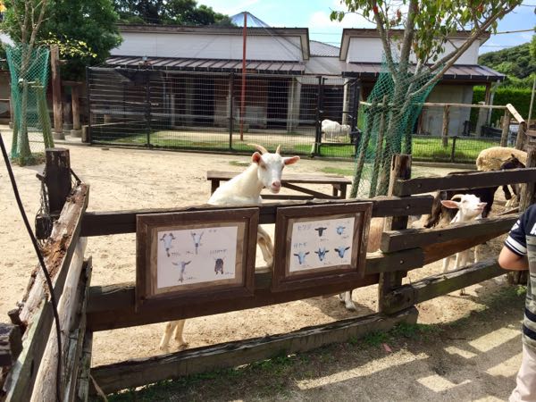 rblog-20170826194501-02.jpg