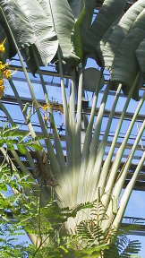 フォト♪ 217 - コピー.JPG