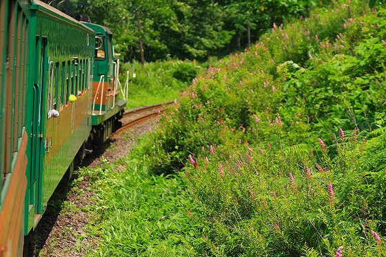 釧路ﾉﾛｯｺ号１.jpg