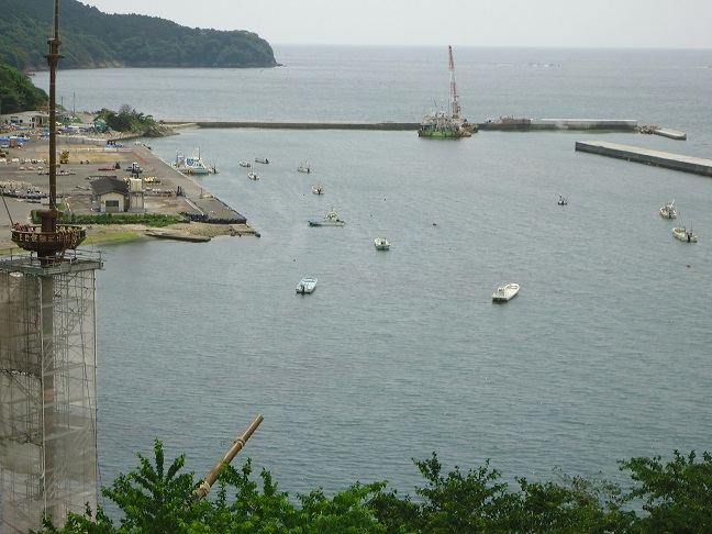 DSC01784-1.jpg