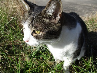 IMG_4851ss.jpg