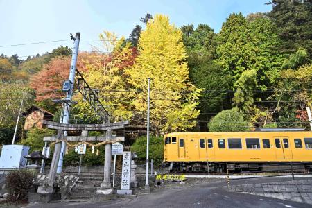 USJラッピングの201系ユニバーサルワンダーランド号 | ブログ「鉄道