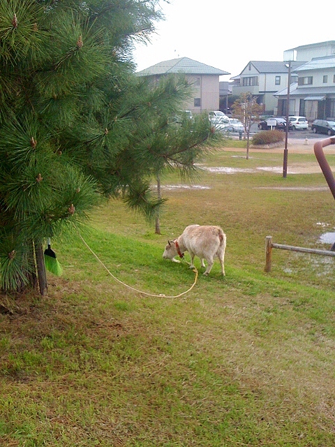 188 (480x640) (2).jpg