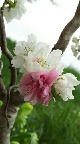rblog-20180408004710-08.jpg