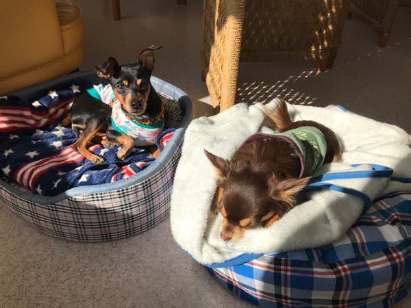 rblog-20170216203634-04.jpg