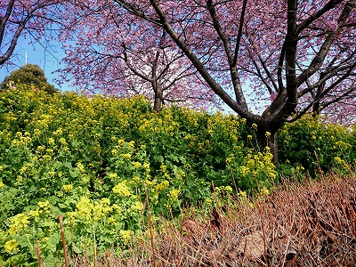 DSC_0563.jpg