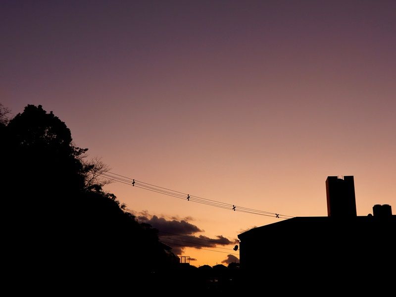 夕暮れ2