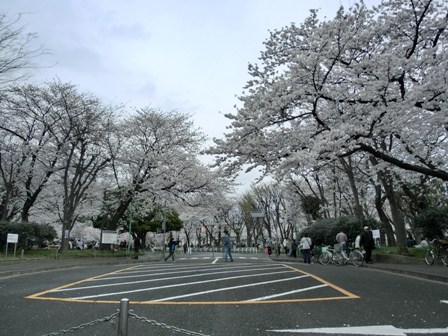 交通公園 ヨコスカの町から 楽天ブログ