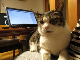 IMG_5151ss.jpg