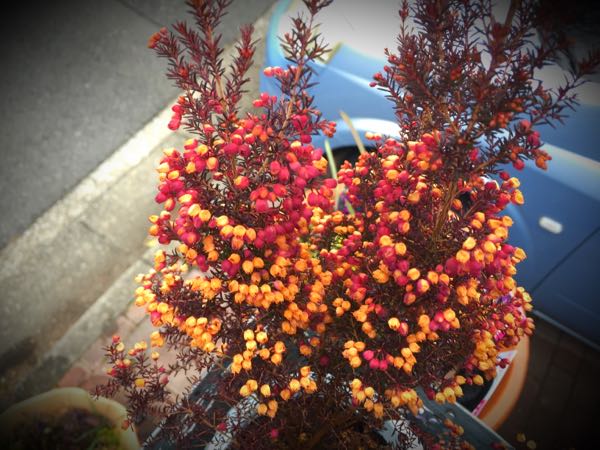 rblog-20150222132823-04.jpg