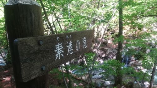 rblog-20180509052956-02.jpg