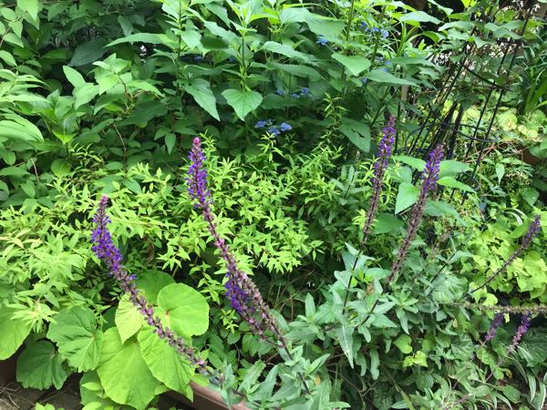 rblog-20180531150418-00.jpg