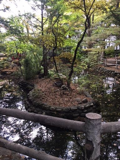白石神社にお参りに行ってきた 3.8kmランニング | とーれこちょこちょ - 楽天ブログ