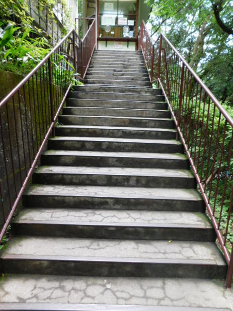 高尾山 021.JPG
