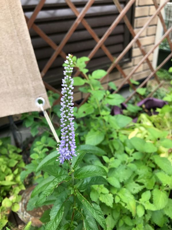 rblog-20180531150418-02.jpg