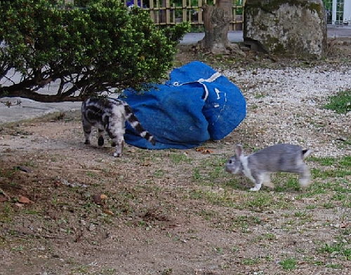 DSC_0084.JPG