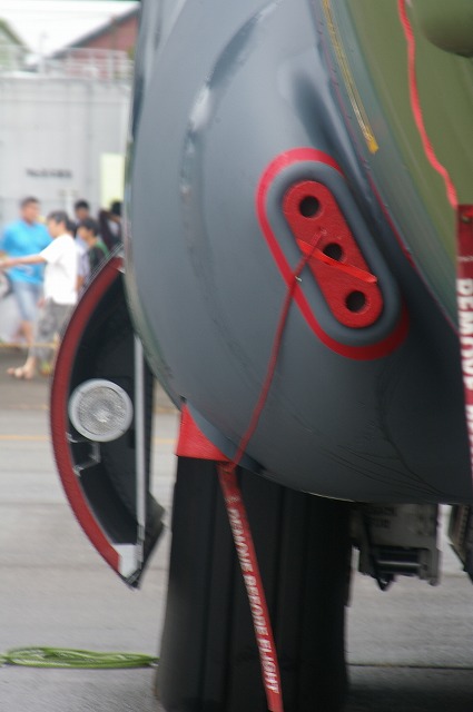 IMGP1147.jpg