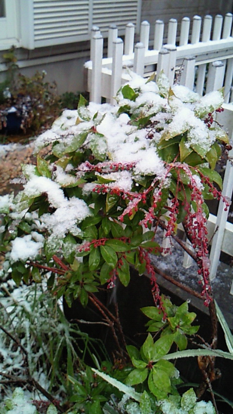 NEC_0329.jpg