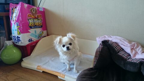 rblog-20140517125158-02.jpg