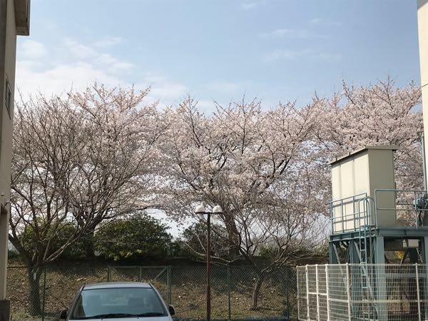 rblog-20180328190757-05.jpg