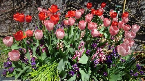 rblog-20180429121649-05.jpg