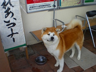 駅からハイキング 098.jpg