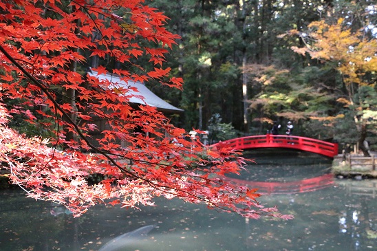 161204_03小國神社（杏莉の七五三）10%