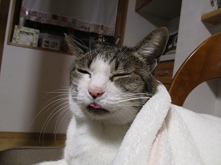 IMG_4764ss.jpg