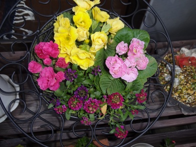 DSC01463.jpg