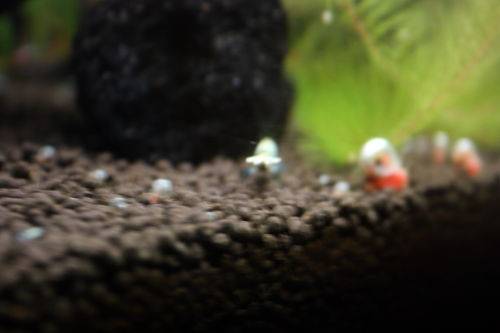 20150322_102.JPG