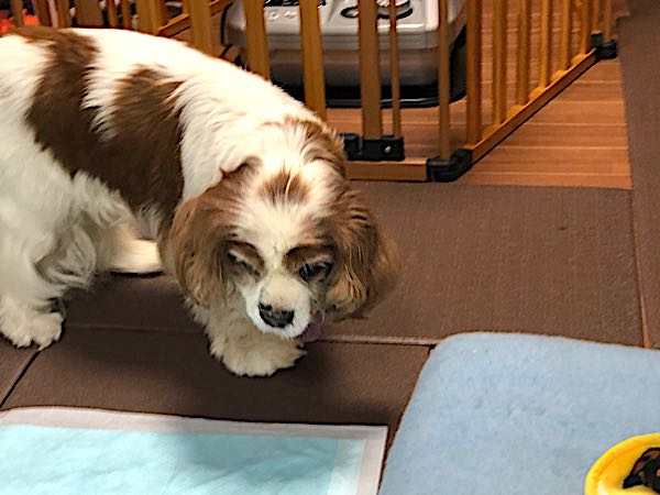 rblog-20180119205144-03.jpg