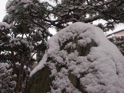 雪の風情。巻き戻す時間。 (4)