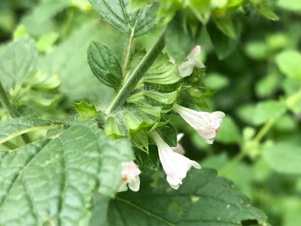 rblog-20180624180114-02.jpg