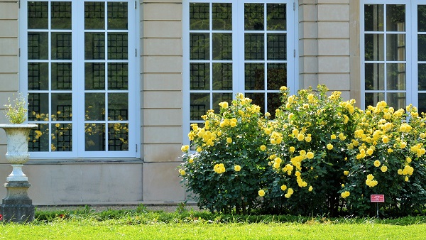 河津バガテル公園