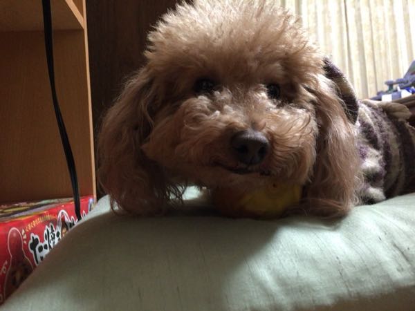 rblog-20160102201904-02.jpg