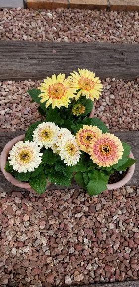 rblog-20180517232201-01.jpg