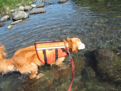 2012-0826-03.jpg