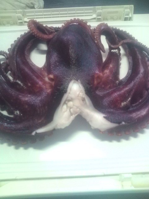 20120617093247.jpg