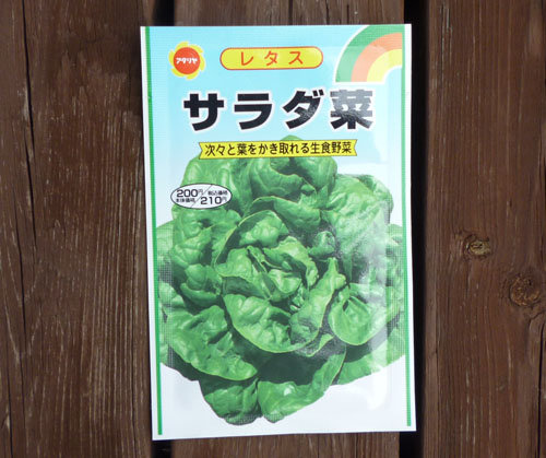 サラダ菜.jpg