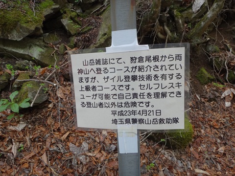 DSC00703.JPG