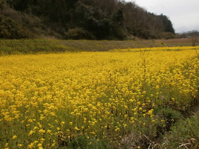 P3290638.JPG