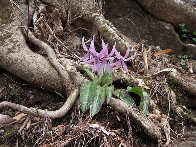 DSCN0067.jpg