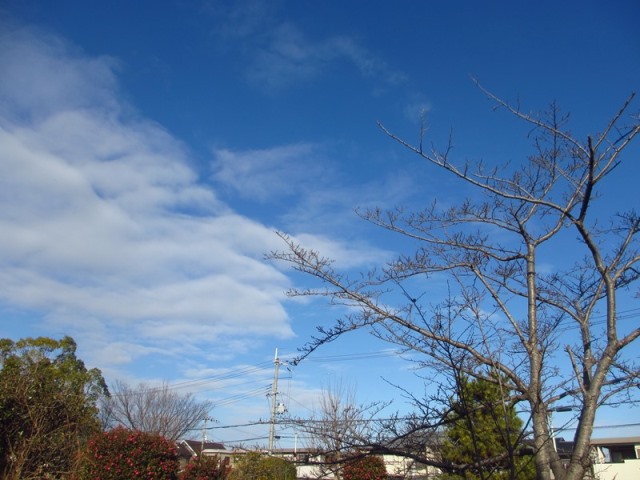 640_0838.jpg