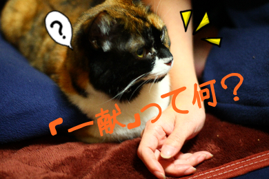 IMG_1265.png