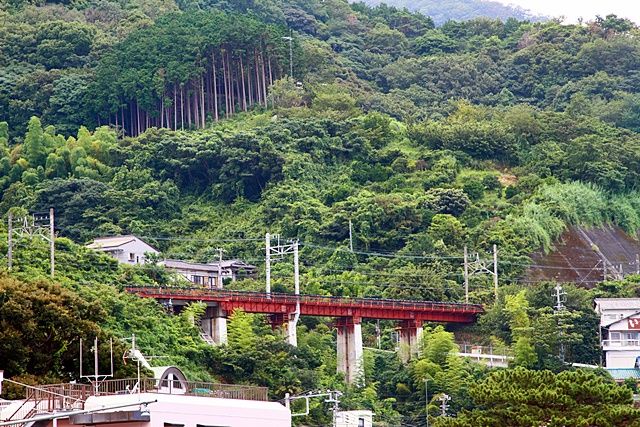 小山臨海公園 1 さぶちゃんの撮影日誌 楽天ブログ