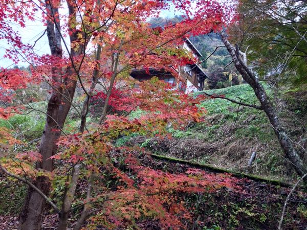 rblog-20161129090114-03.jpg