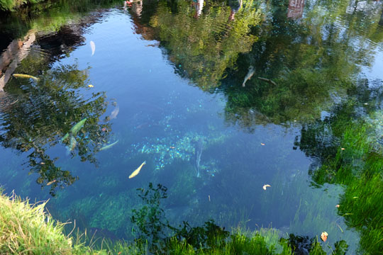 DSCF9247.jpg